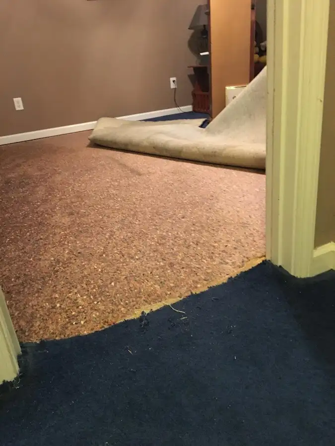 Carpet pad removal revealing water damage during Water Mitigation Services in Travelers Rest