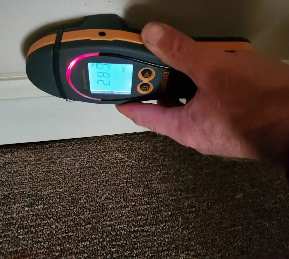 Moisture detection at baseboard during Burst Pipe Cleanup in Travelers Rest